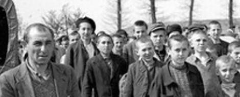 buchanwald orphans-short one