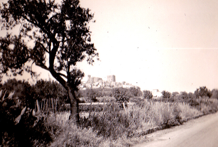 Sicilian landscape near Gerbini, Sicily in June 1943.