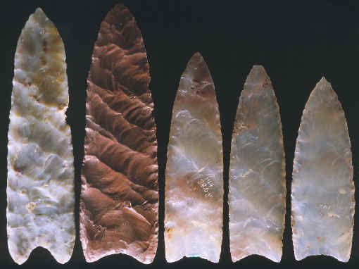 Clovis fluted points.