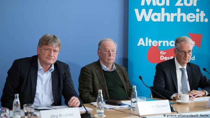 AfD leaders