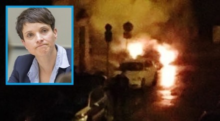 Frauke Petry auto "accident"