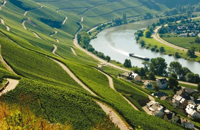 Mosel Vineyards in Baden