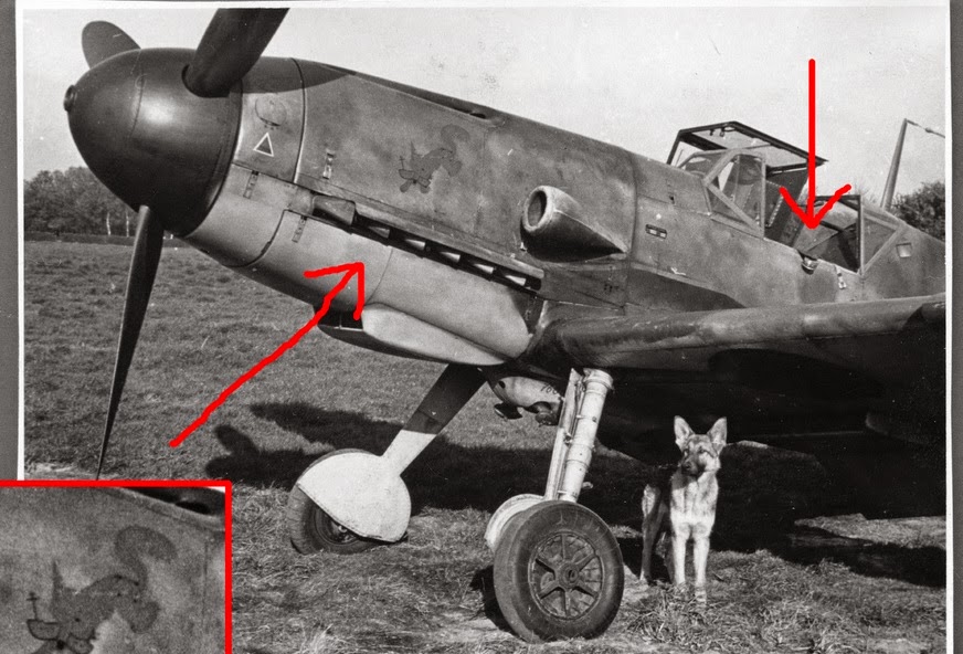 The Bf 109 belonging to Frank Liesendahl 